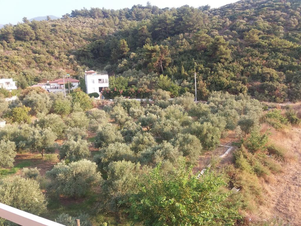 Zeus Apart Pansiyon Güzelçamlı Dış mekan fotoğraf